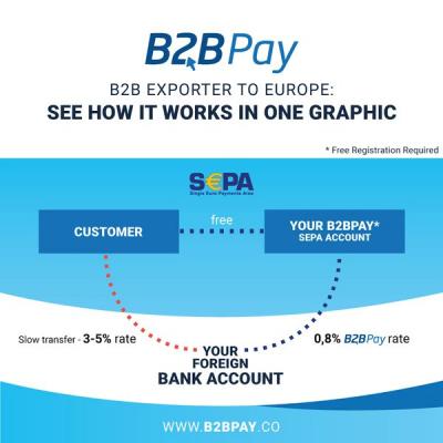 B2B Pay infographic